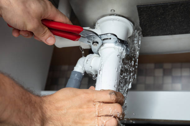 Best Water damage restoration near me  in Belgrade, MT