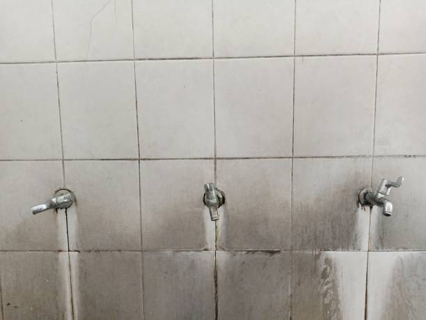 Best Water damage contractors near me  in Belgrade, MT