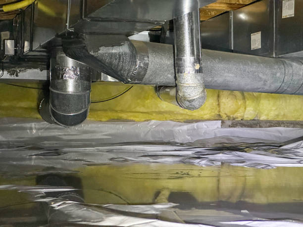 Best Professional water damage repair  in Belgrade, MT