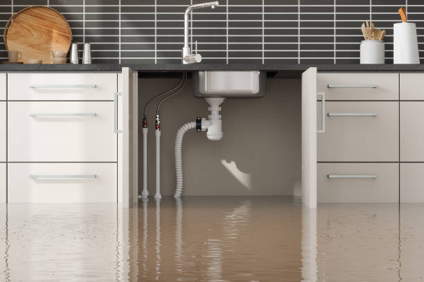 Best Flooded house restoration  in Belgrade, MT