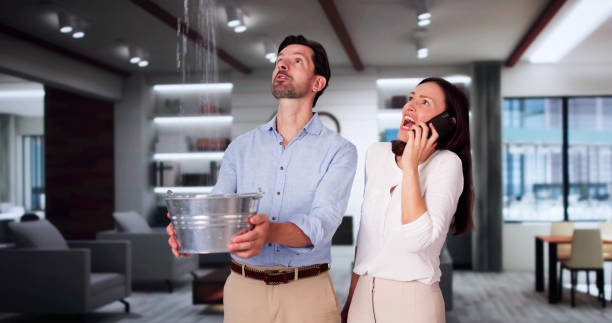 Trusted MT Water damage restoration Experts